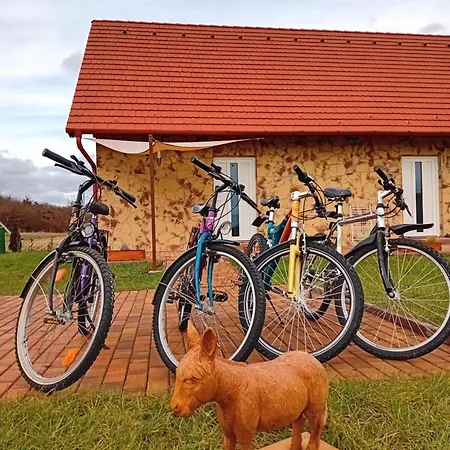 Fa Szamar Vendeghaz Demjén