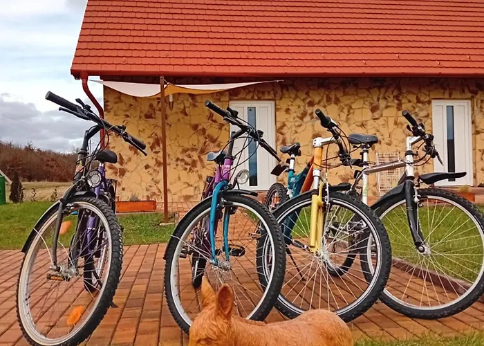 Fa Szamar Vendeghaz Demjén